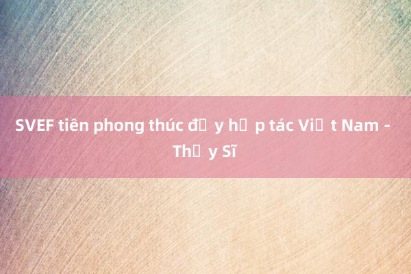 SVEF tiên phong thúc đẩy hợp tác Việt Nam - Thụy Sĩ