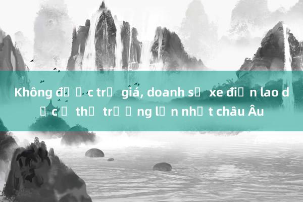 Không được trợ giá， doanh số xe điện lao dốc ở thị trường lớn nhất châu Âu