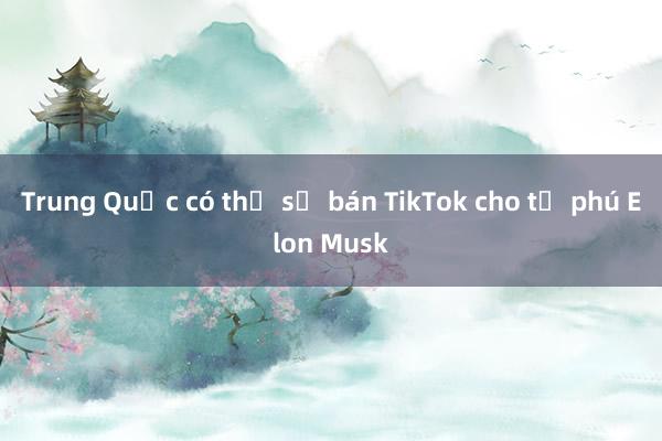 Trung Quốc có thể sẽ bán TikTok cho tỷ phú Elon Musk