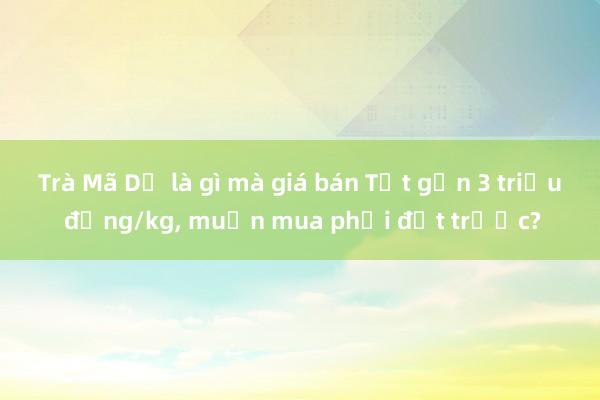 Trà Mã Dọ là gì mà giá bán Tết gần 3 triệu đồng/kg， muốn mua phải đặt trước?