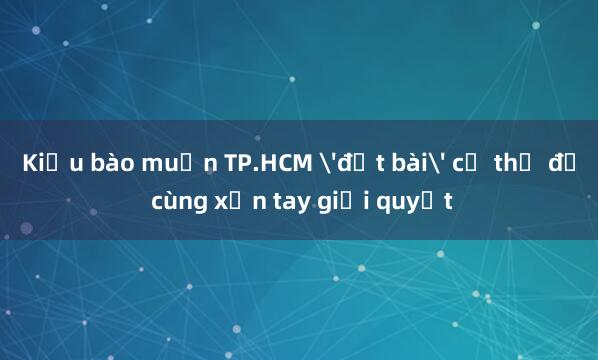 Kiều bào muốn TP.HCM 'đặt bài' cụ thể để cùng xắn tay giải quyết