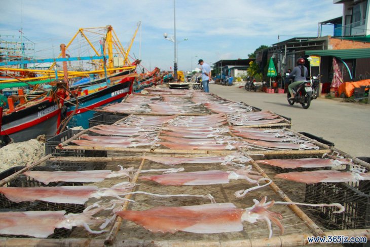Tàu cá đồng loạt nằm bờ vì gió lớn， ngư dân Ninh Thuận lo mất Tết - Ảnh 6.