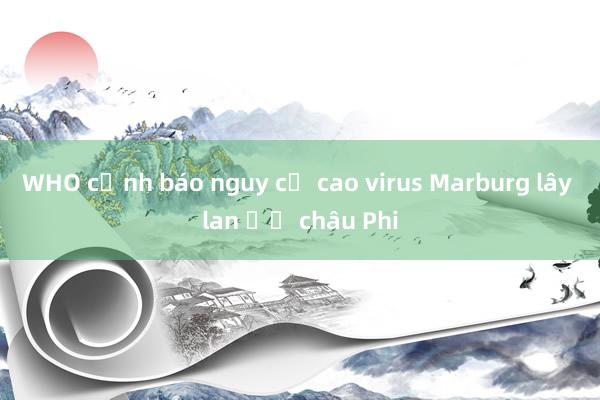 WHO cảnh báo nguy cơ cao virus Marburg lây lan ở châu Phi