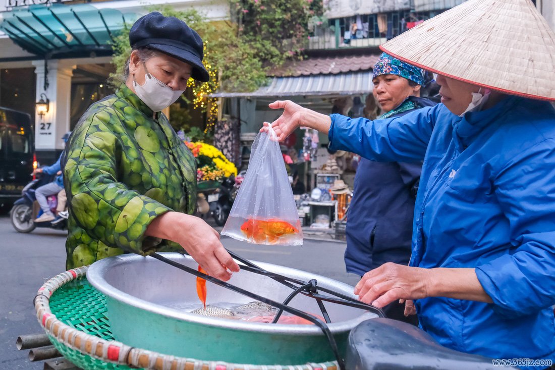 Hà Nội: Cá chép, đồ cúng ông Công, ông Táo được 'săn đón' - Ảnh 5.