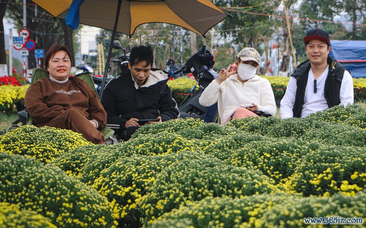 Ớt kiểng Nha Trang 'điền chỗ trống' hoa Tết - Ảnh 2.