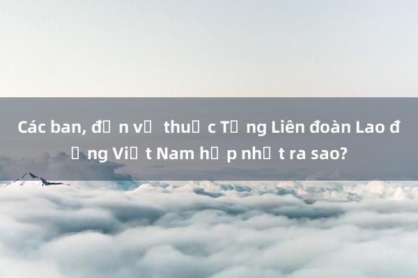 Các ban， đơn vị thuộc Tổng Liên đoàn Lao động Việt Nam hợp nhất ra sao?